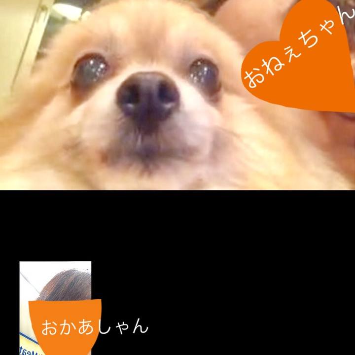 7498c0c4 2031 4796 b8dd b38248ab558d