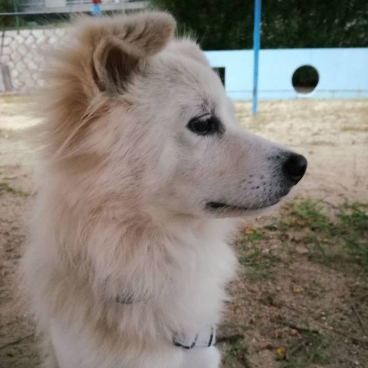 7498e84e 8841 4444 8b23 af4bdbb94eaa