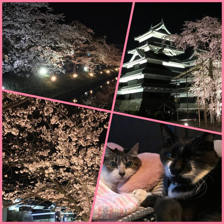 749903ee c17a 4ef4 8d3a 36e5cec3524c