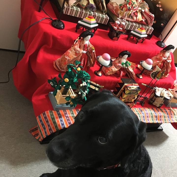 749904ee 37c4 4a6f 9e51 92a8acc395dd