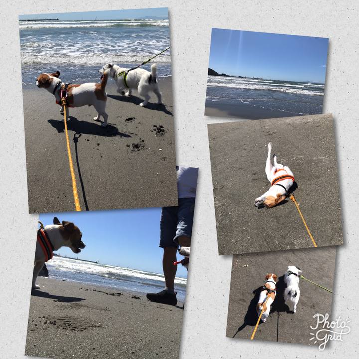 74991fee ab96 4c42 b8e2 0049f76d5aa1