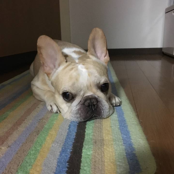 7499944f 5c3c 4246 9690 864915903373