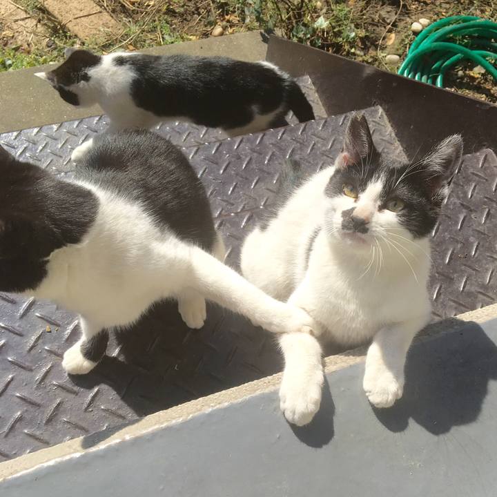 7499af74 59b9 44a8 b4d3 d909771b2665