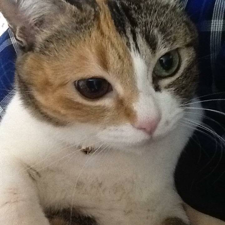 749a119d 28ca 4728 8e55 645a61393d37