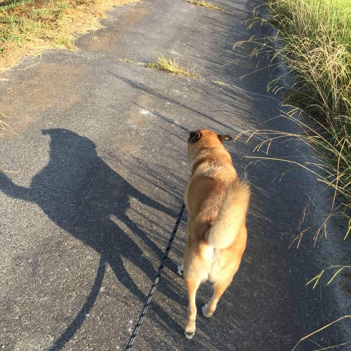 749a195b 0e20 497e a5e4 5707648a4ab6