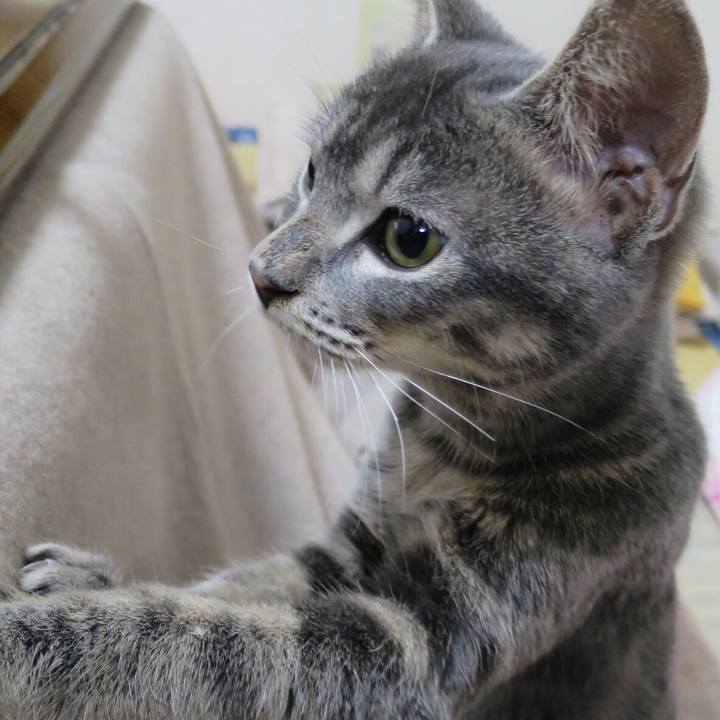 749a9e3e f92b 403c 84af 7a1fab889a42