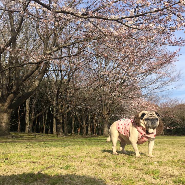 749ae6bf 110d 40a4 a217 03a4439e06ac