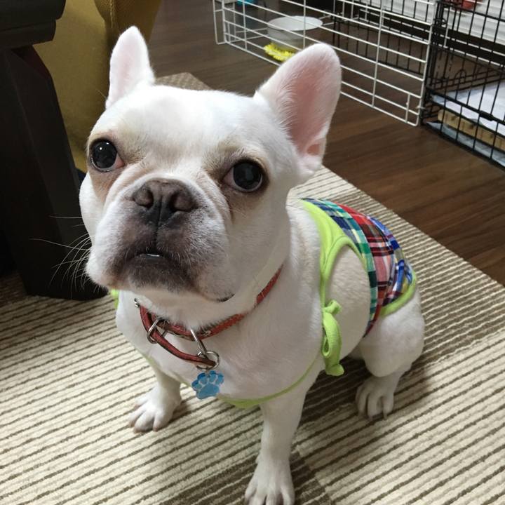 749b1454 a7f0 420c a1f3 b4a5317f1762