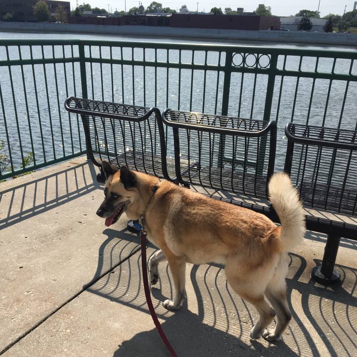 749b98ab 6260 4660 ac5a 07a03131392f