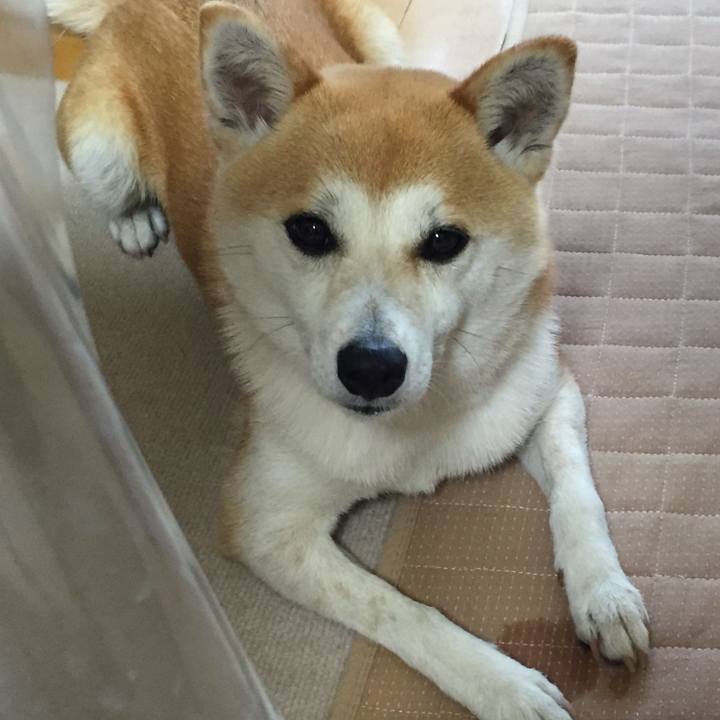 749bea24 9b61 42f9 b41c f244f9978542