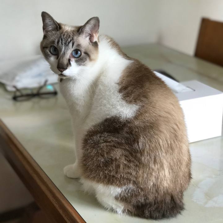 749cde09 e8e1 4980 8bea 94d0c6a34a76