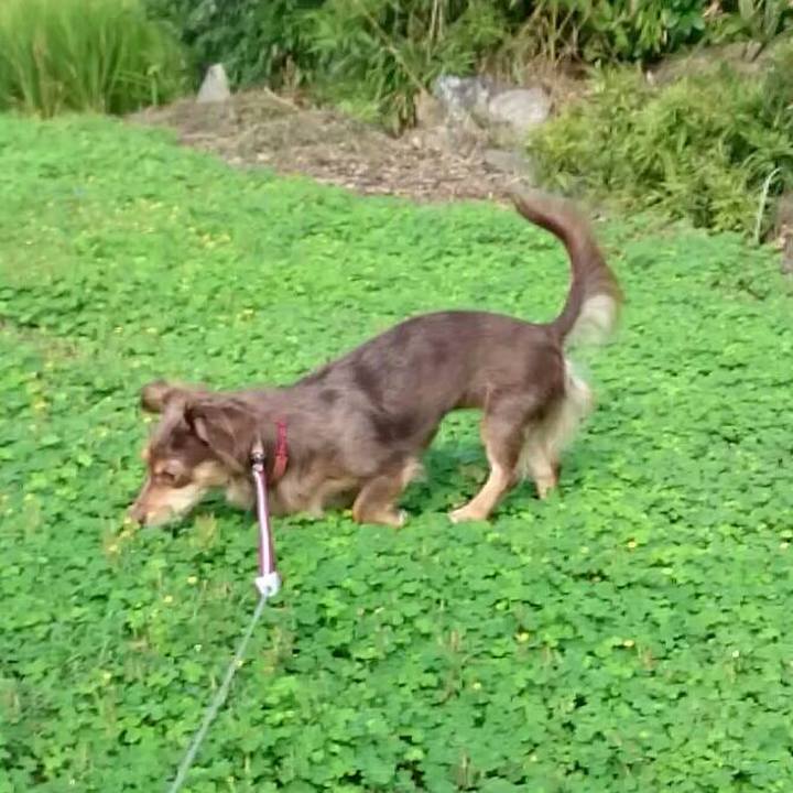 749ce4c7 6f5a 4d5c 91ab 28f45a77f2b0