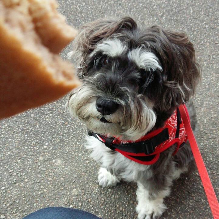 749d0912 3e88 47e8 8175 36b7801e8e40