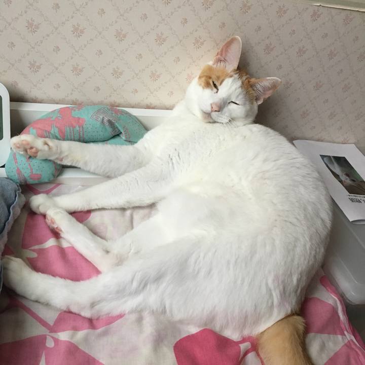 749deda7 6ff0 4d9e a426 f1feeff7b8cd