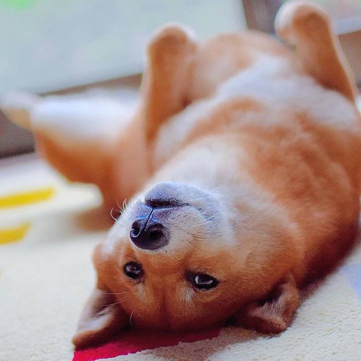 749e36d6 4b8b 44d7 a05e d6111201f2fe