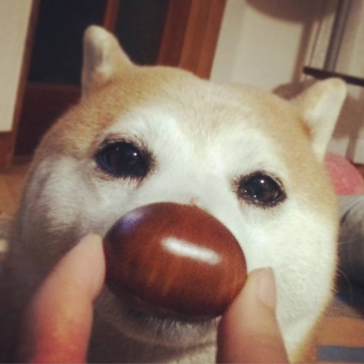 749e4221 55df 46b1 966b 7a755da86c76