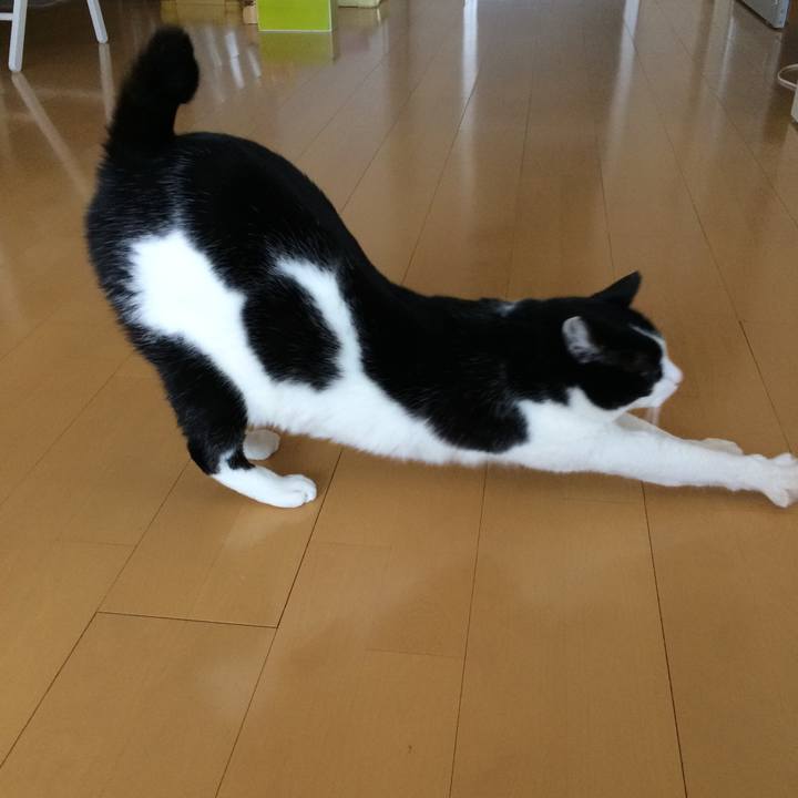 749e5a4c 22ff 4f96 9f0f 2c3d2c9da2fc