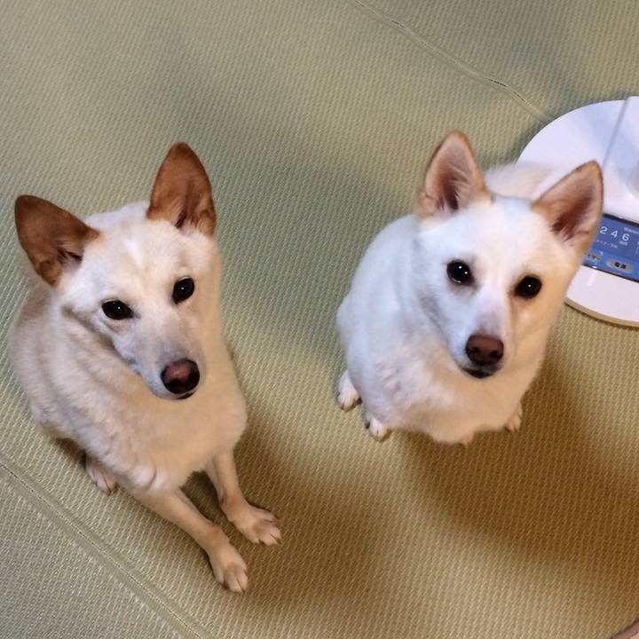 749e718f 096f 453d 8df0 94ac87de2e9f