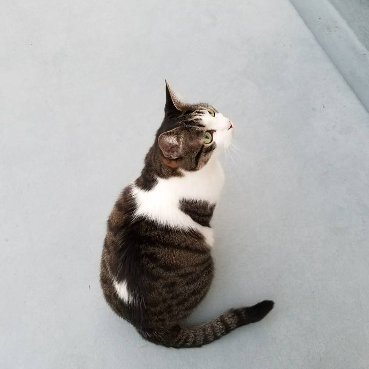 749e7bcc 1698 4c3e 8f17 ea1e116655e9