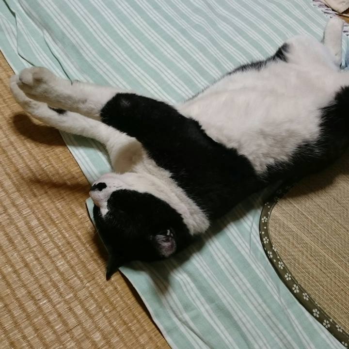 749ee2c8 f41b 486f 9719 9e6b646a8d36