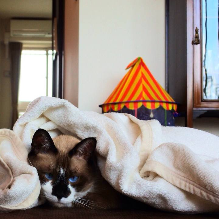 74a0433b 4f25 41e0 a44e 944fb7ca1502