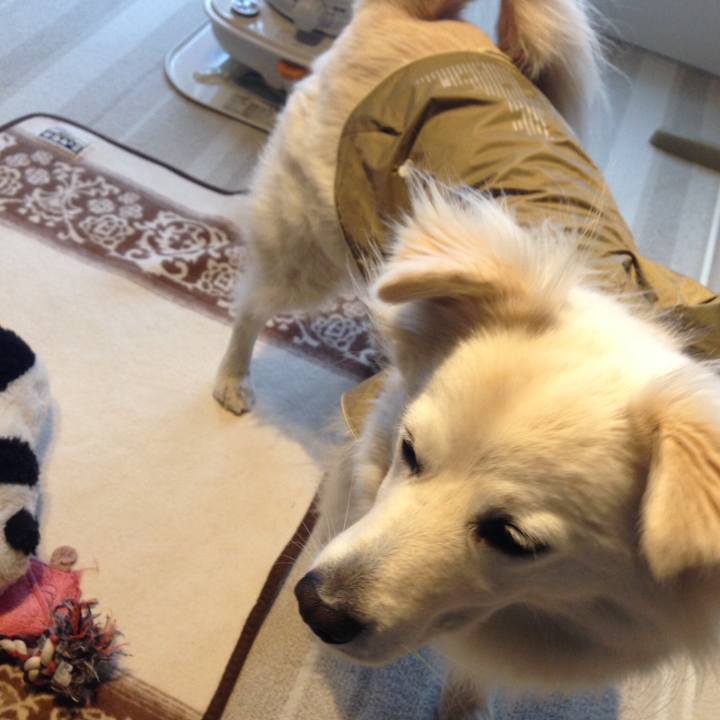 74a0b9f7 380b 48c1 ba57 8bd5e68546e4