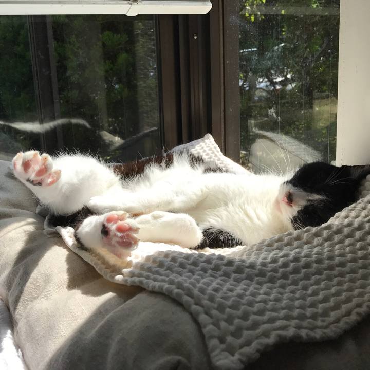 74a1391a 2dc8 4ffe 93f2 6acd5ba7e708