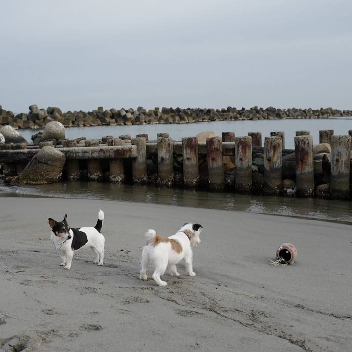 74a13aa3 e21f 4f1c aaa8 e3bce1311d8f