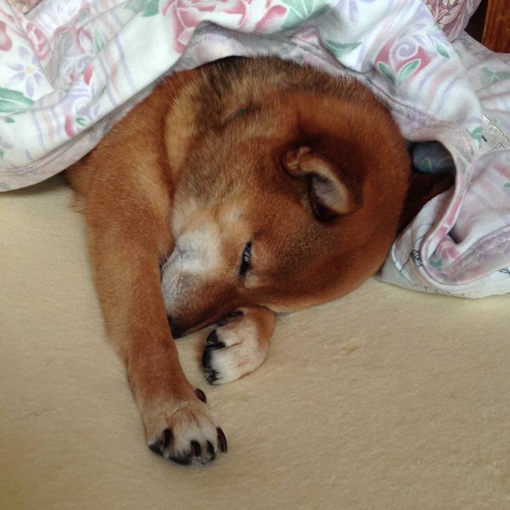 74a17719 35ff 445c 89b0 409b0ba2c184