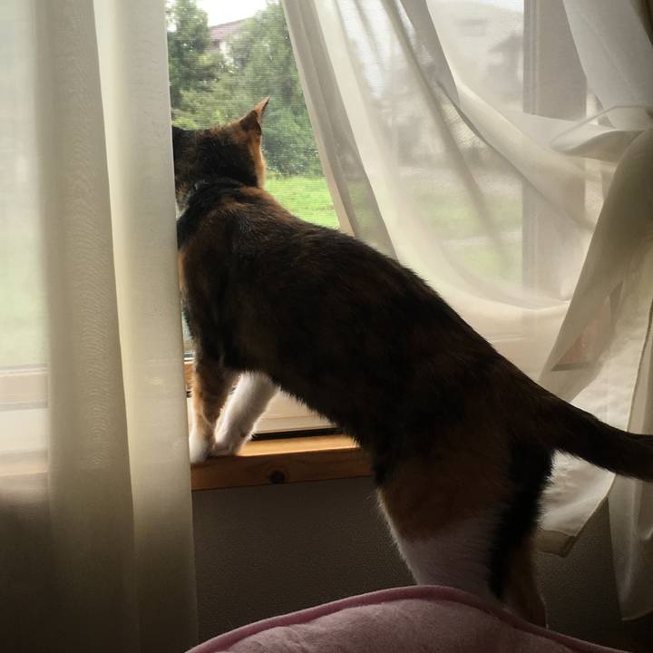 74a2912e 2af0 4795 aa99 b6b330940e61