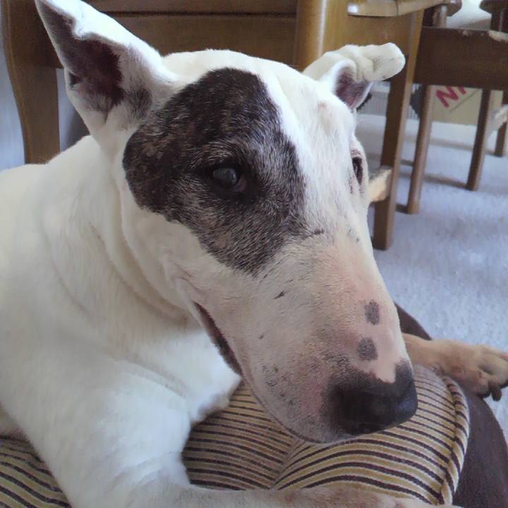 74a29596 7a52 4d19 afd3 8e6e7ce7245e