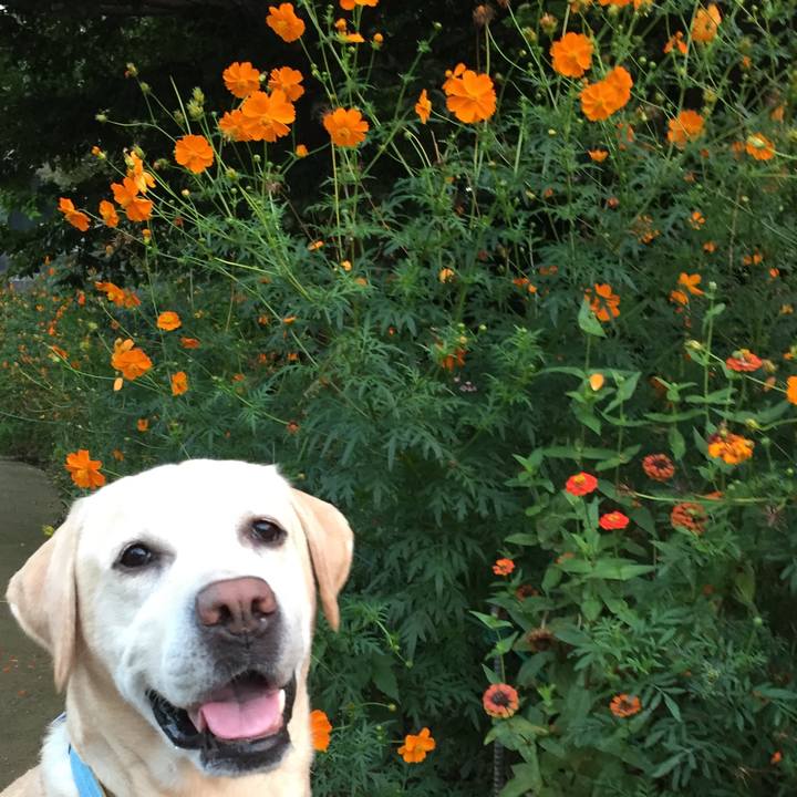 74a2f332 28cf 4033 845d d2535190e301