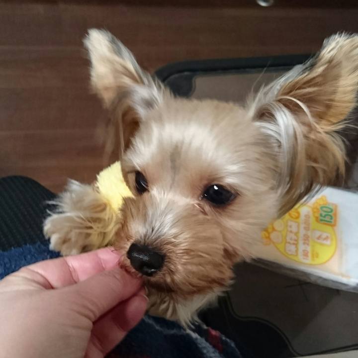 74a33f8b 0647 4a54 ae19 3708aa0e7ab8