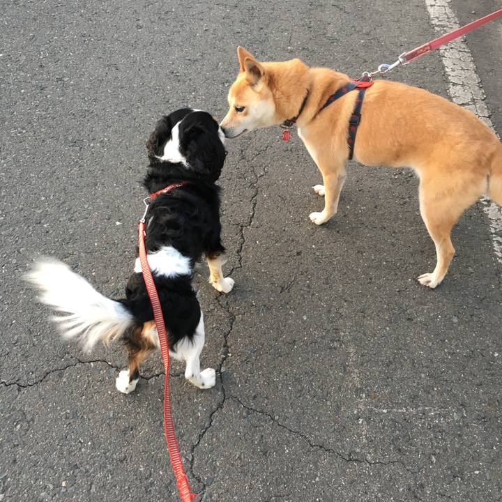 74a37f33 c565 4fc5 b5f2 6cbed7dd8866