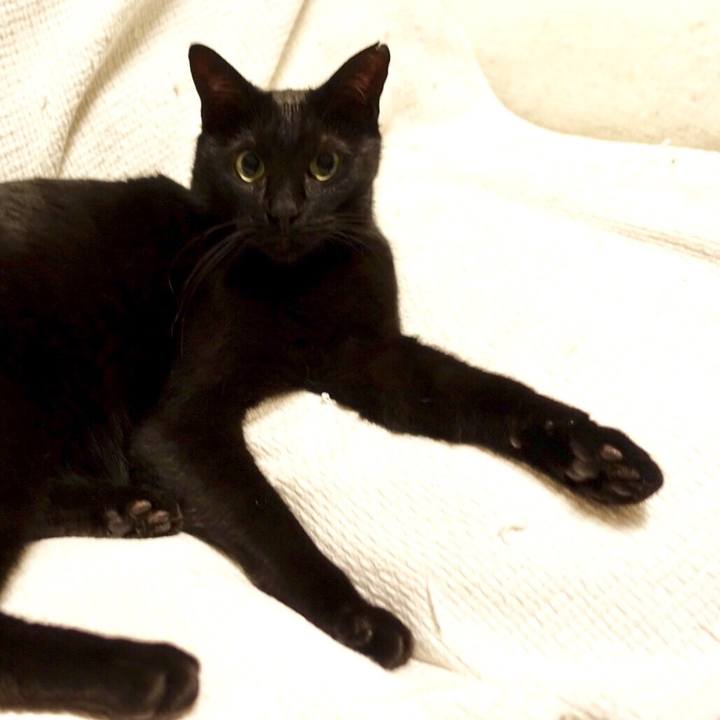 74a384b1 bd90 4279 8831 f7b36811d702