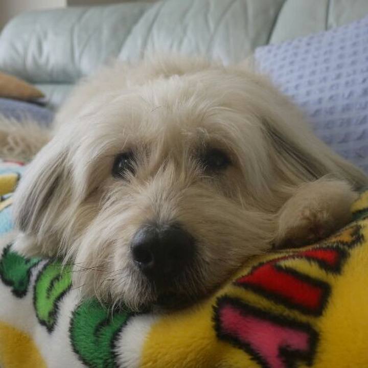 74a454b1 21aa 431c ba58 6210ea8b20be