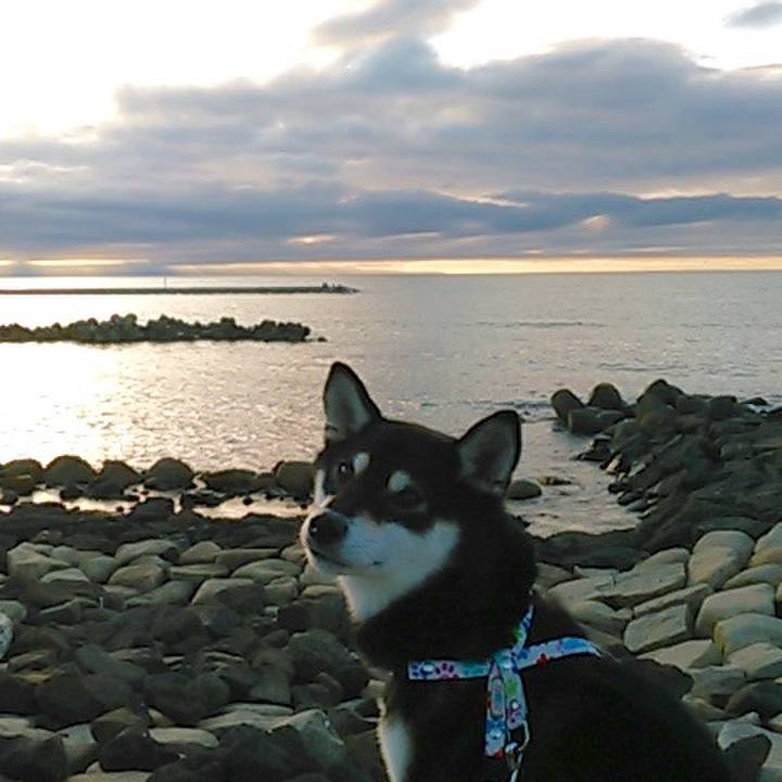 74a46d66 9e70 4f8b 8a91 fbbdd8af2170