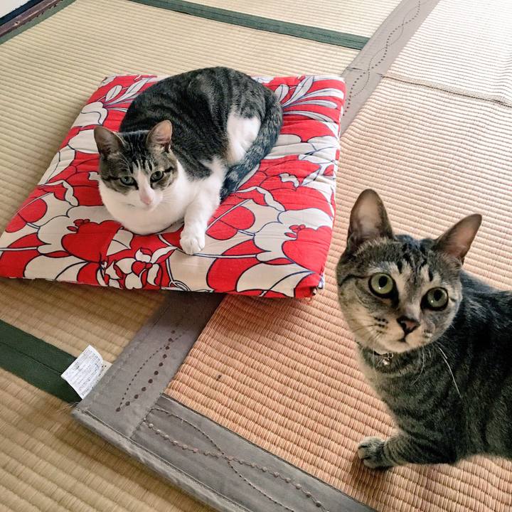 74a4d218 4050 40c7 8ef2 e9ed0571f8c6