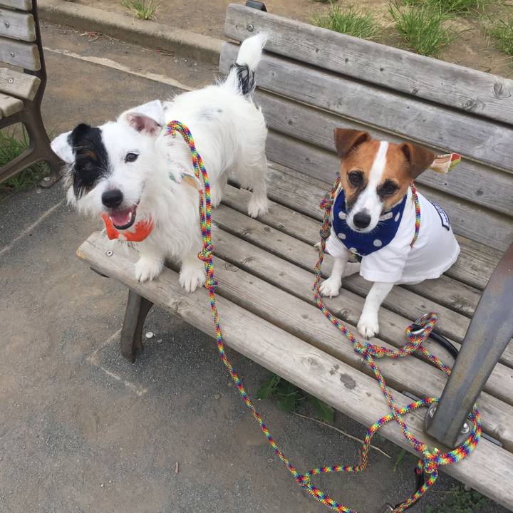 74a4d491 e738 4265 a2db 083eb1676d52