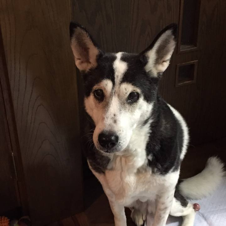 74a54990 dffe 4106 818f b3b7954060d6