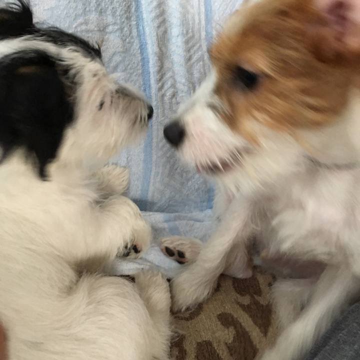 74a58e81 762b 4a95 ba7b 1d7e1e532a60