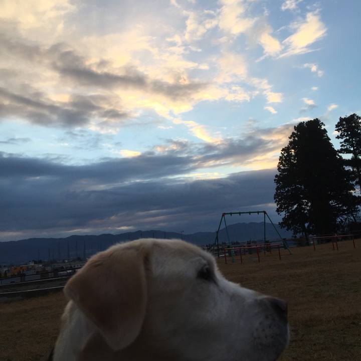 74a58ebe 14eb 4d55 a4d3 3efa5528179e