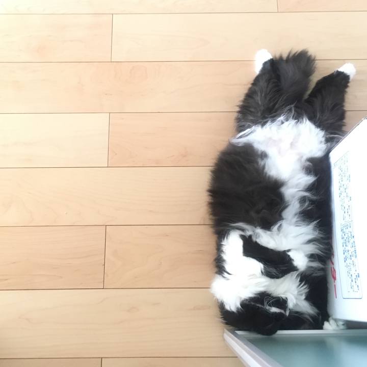 74a5bcb9 28ab 4f74 acbb 7950d96d81d3