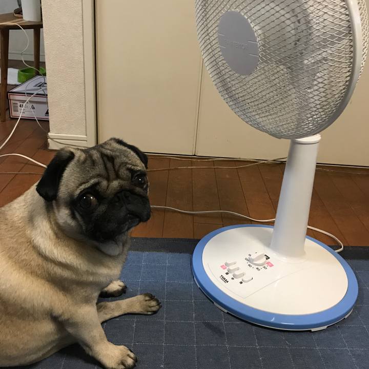 74a60d43 0c9b 4a86 834e b566c45e3e0c