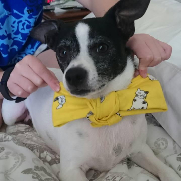 74a60e6f d854 46df bd55 ef476f14ddad