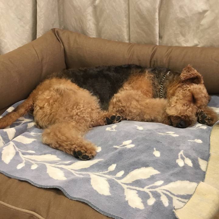 74a636a8 b742 4bf0 b8dc 46a1deb1f30d