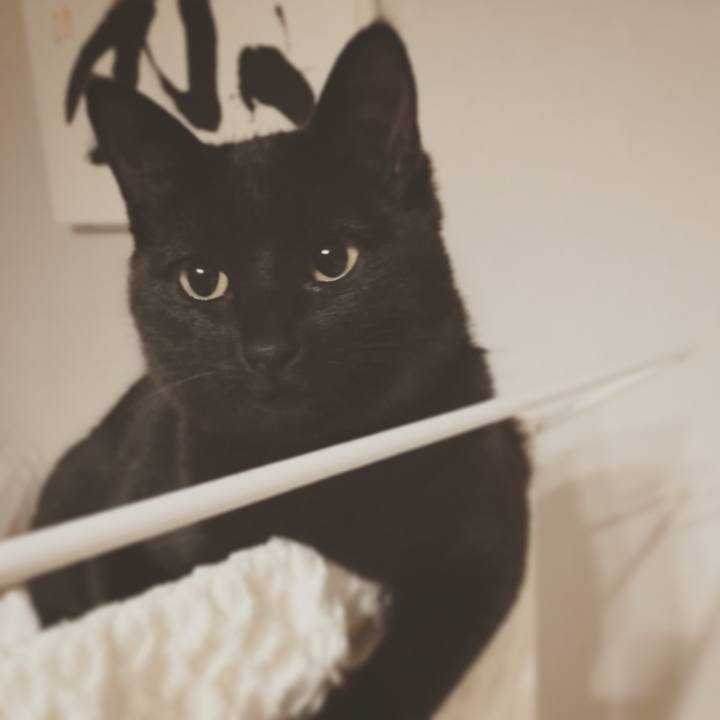 74a63c9a 51c7 468f 901e 22e0eb0a3863