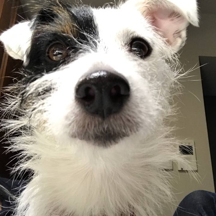 74a75482 ae53 48b5 a2ea 56bd3adc62ae