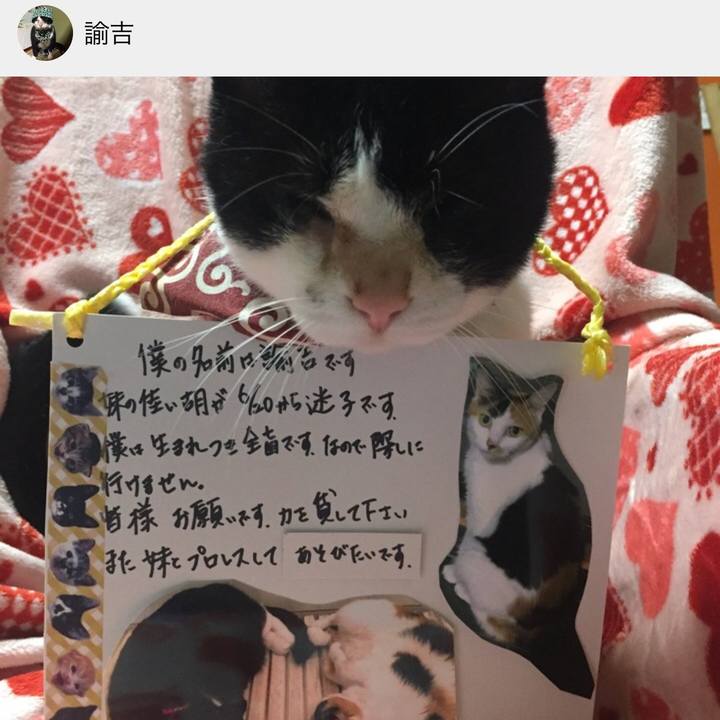 74a789a9 84b5 4069 976e 70f9b1cd3427