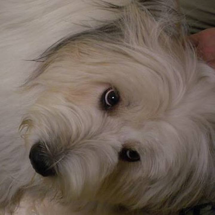 74a78acd 6073 4179 a8e1 68e3f9415992